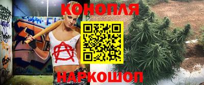 СК Жуковский