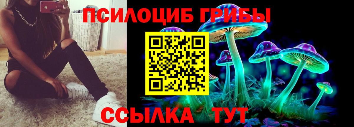 Псилоцибиновые грибы Cubensis  Вход с VPN  Галлюциногенные грибы Psilocybe  Ижевск 